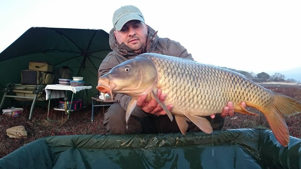 prima captura pe 2016 - 1131641283266011192576268546268424041n.jpg